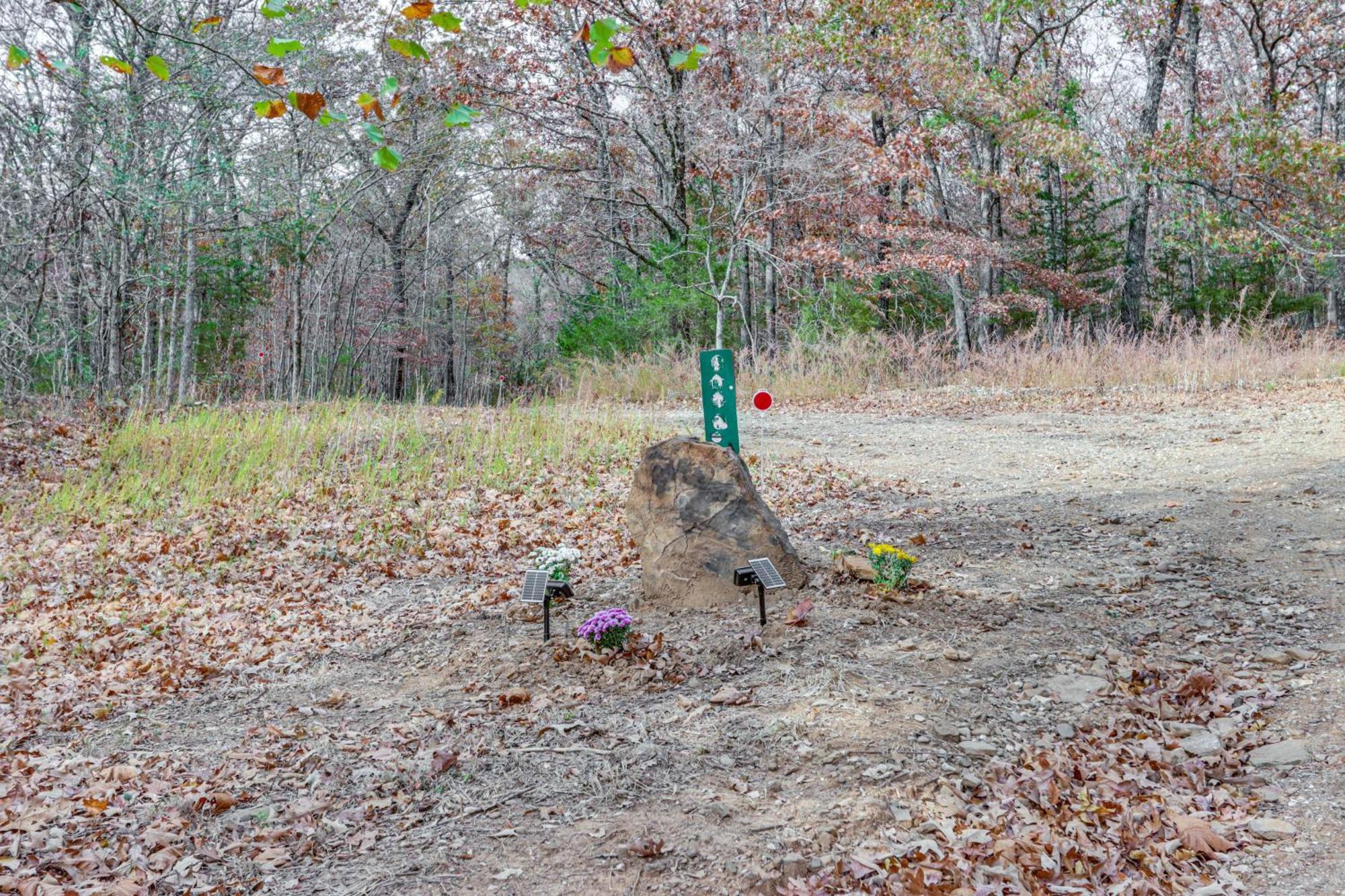 Bunkhouse-Style Studio In Elkins Near Atv Trails!公寓 外观 照片